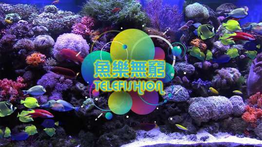 【ATV】【綜藝經典】魚樂無窮